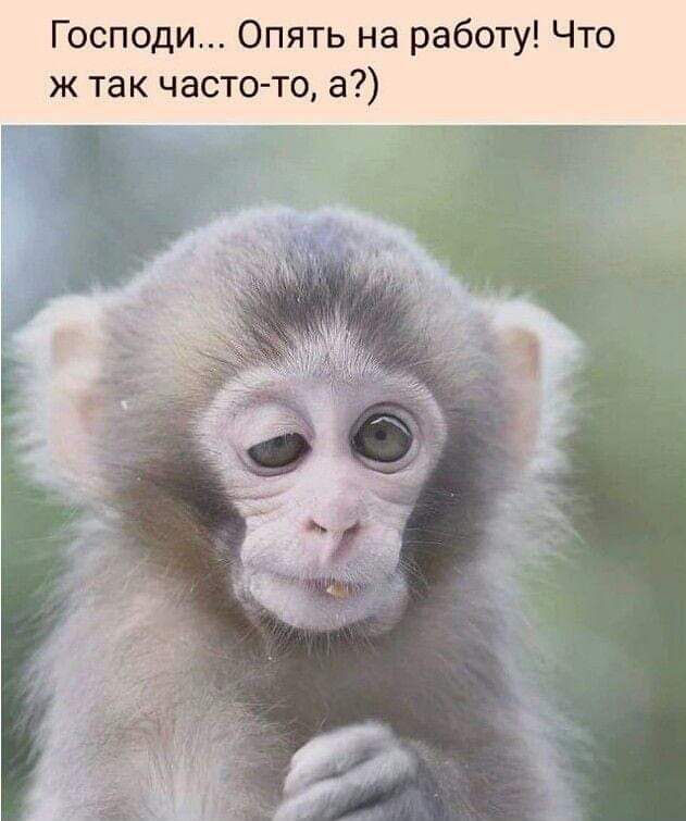 Господи Опять на работу Что ж так часто то а