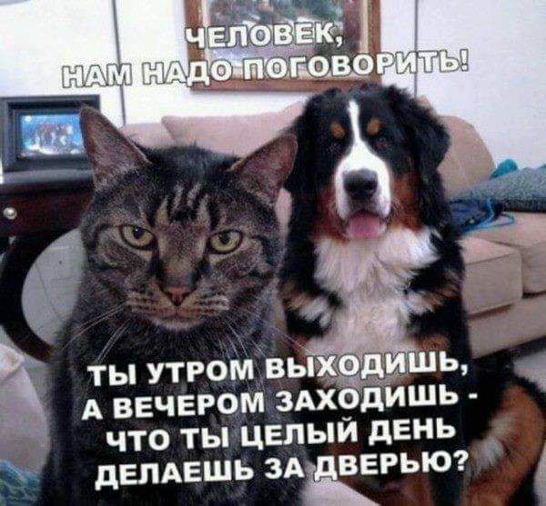 ты утром вы ь А вечером шходИШь что ты ЦЕЛЫЙ день дЕПАЕШЬ зд ВЕРЫО