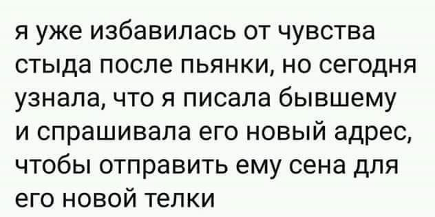 я уже избавилась от чувства стыда после пьянки но сегодня узнала что я писала бывшему и спрашивала его новый адрес чтобы отправить ему сена для его новой телки