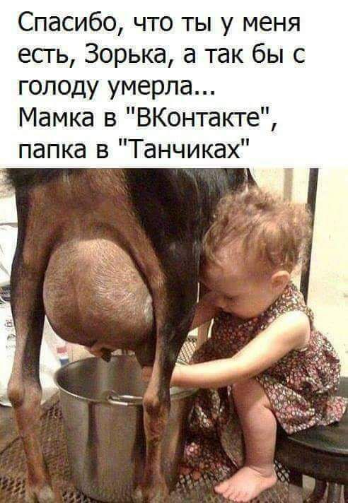 Спасибо что ты у меня есгь Зорька а так бы с голоду умерла Мамка в ВКонтакте папка в Танчиках