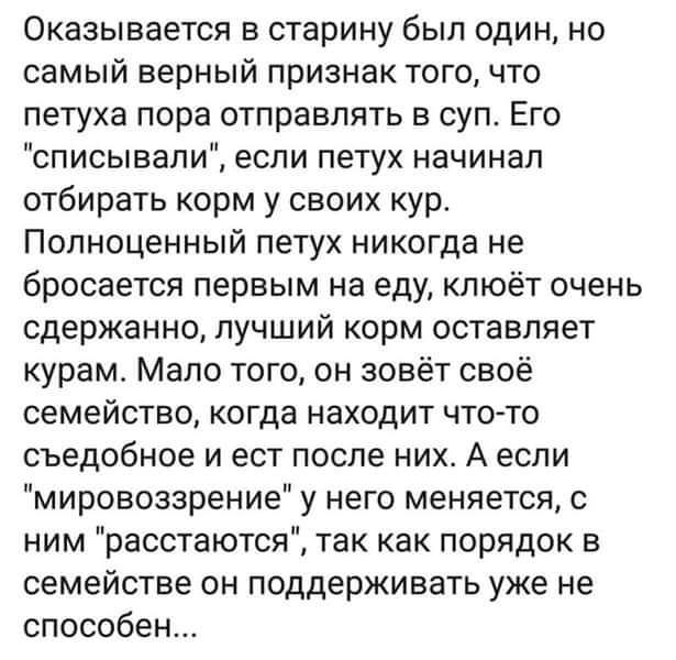 Оказывается в старину был один но самый верный признак тогочто петуха пора отправлять в суп Его списывали если петух начинал отбирать корм у своих кур Полноценный петух никогда не бросается первым на еду клюёт очень сдержанно лучший корм оставляет курам Мало того он зовёт своё семейство когда находит что то съедобное и ест после них А если мировоззрение у него меняется с ним расстаются так как пор