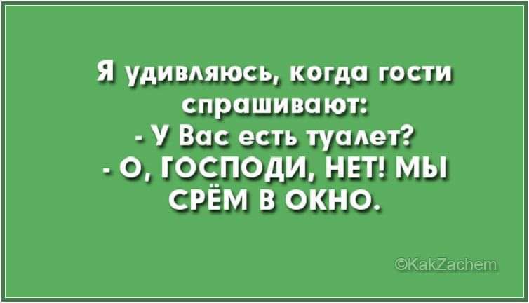 Я удивляюсь когда гости спрашивают У Вас есть туалет О ГОЁПОДИ НЕТ МЫ СРЕМ В ОКНО