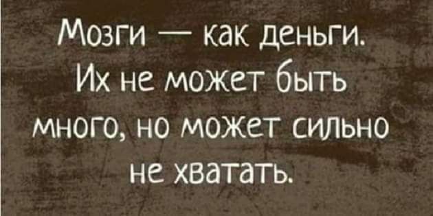 Мозги как деньги Их не может быть много но может сильно не хватать