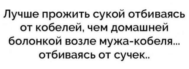 Лучше прожить сукой отбиваясь от кобелей чем домашней болонкой возле мужа кобеля отбиваясь от сучек