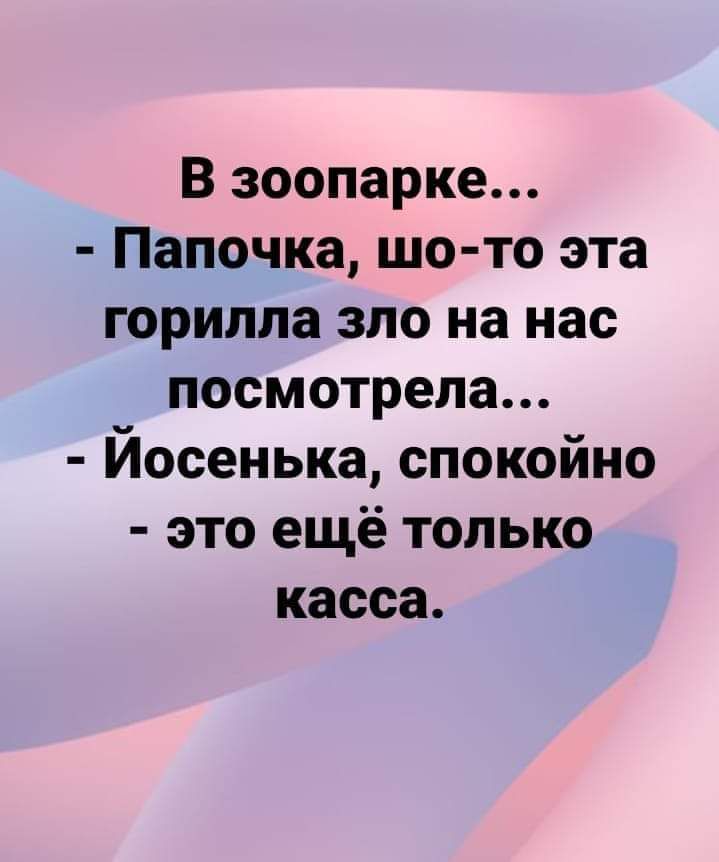 В зоопарке Папочка шо то эта горилла зло на нас посмотрела Йосенька спокойно это ещё только касса