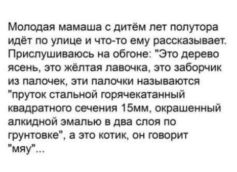 Молодая мамаша с дитём пет полутора идет по улице и что то ему рассказывает Прислушиваюсь иа обгоне Это дерево ясень это жёлтая лавочка это заборчик из папочек эти папочки называются пруток стальной юрячекатанный квадратного сечения 15мм окрашенный алкидной эмалью в два слоя по грунтовка а это котик он тварит мяУ