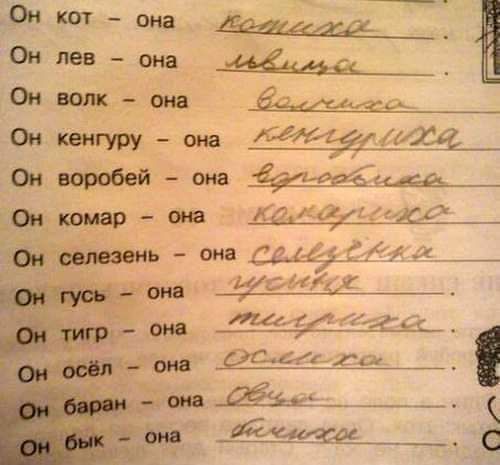 Юн кот она о тонтеоее Он лев она бевинесо Онволк она онелевенеско Он кенгуру она ОбЛе Ид Он воробей она Фдикоолежык Он комар она Пр ит СО селезень она Сдавре я на _955 ж 3 она _РРбелилОтес СОРРНЩНННННИ