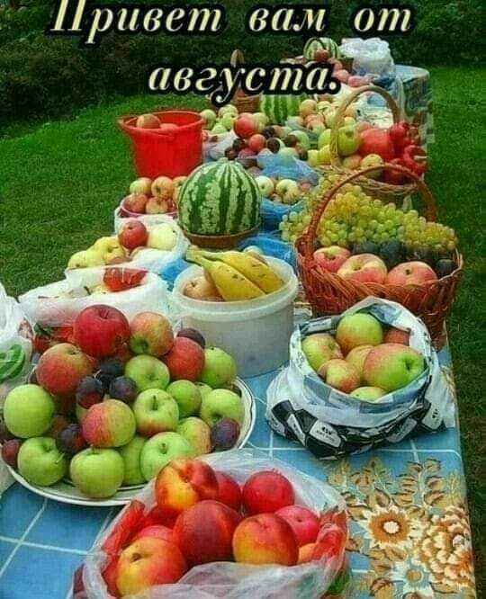 Привет вам от вед 011