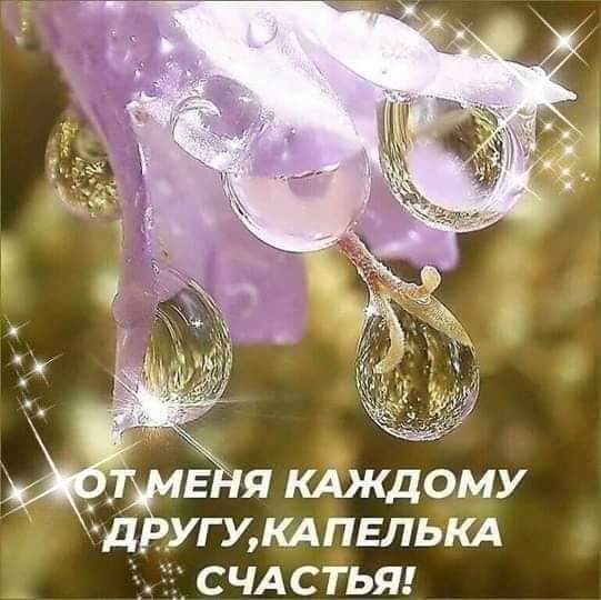 д угумпь лькд СЧАСТЬЯ