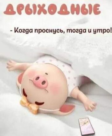 40608040096 Косов проснусь тэгов и утро 3 і З