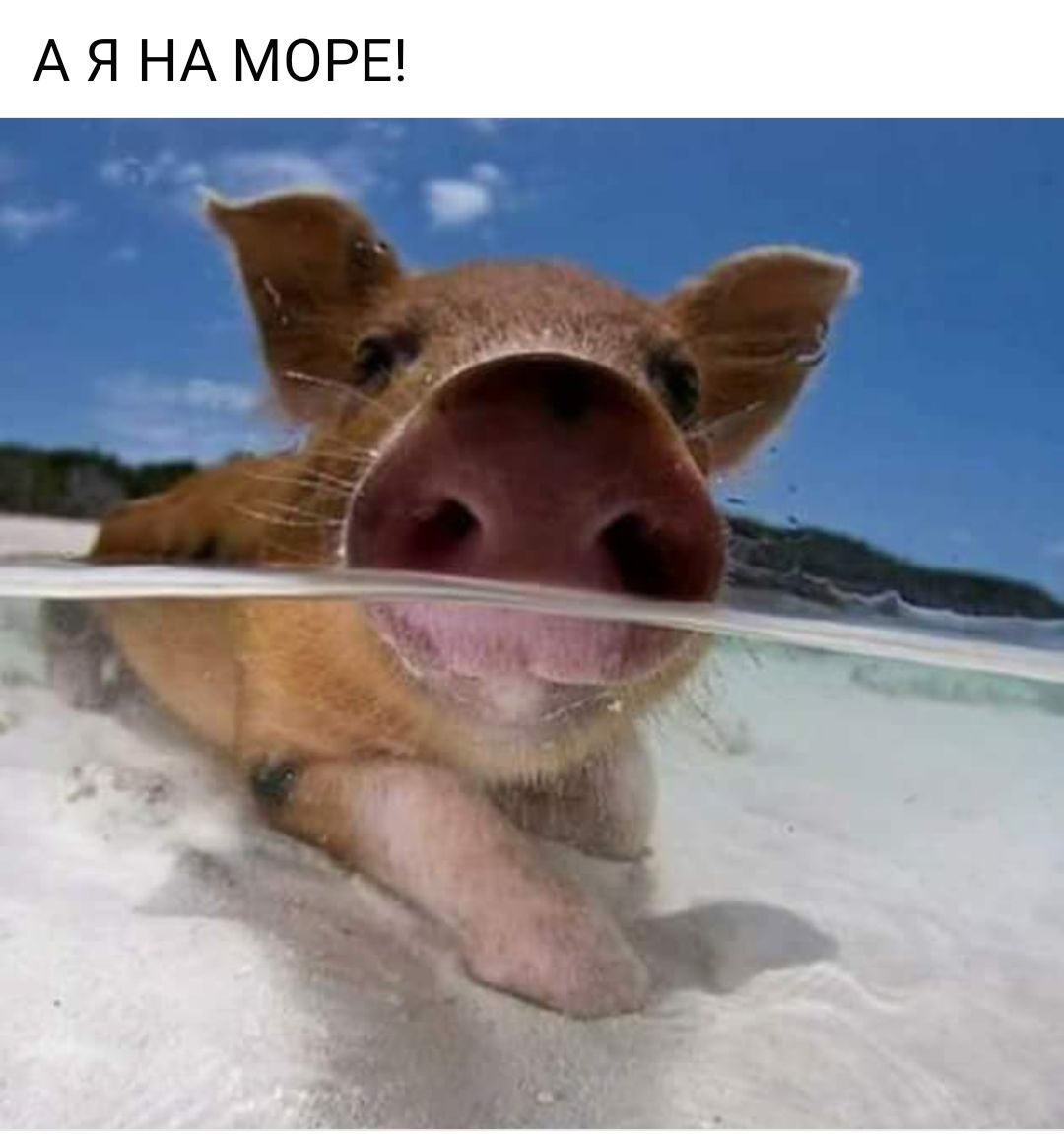 А Я НА МОРЕ