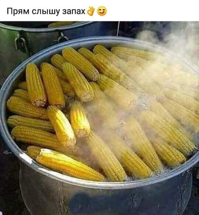 Прям слышу запаха 6