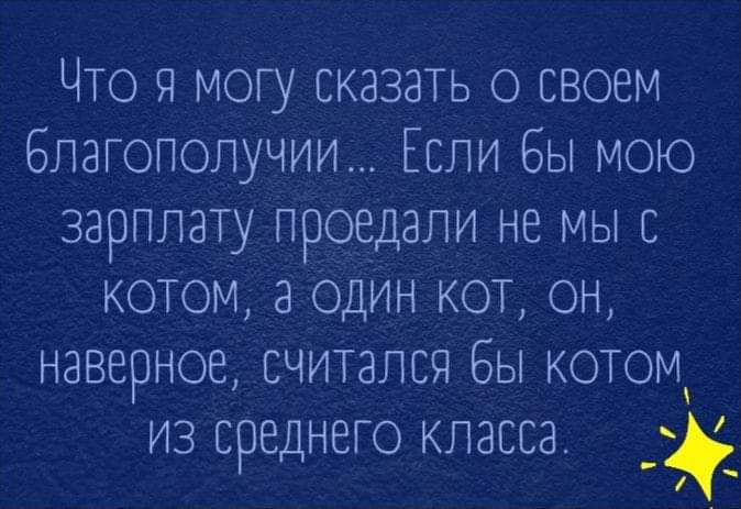 Что я могу сказать о своем благополучии Если бы мою зарплату проедали не мы с котом а один кот он наверное считался бы котом из среднего класса