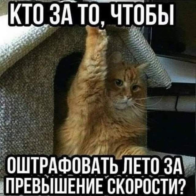 КТОЗЁТО ЧТОБЫ ОШТРАФОВАТЬР ЛЕТО ЗА ШРЕВЫШЕНИЕ СКОРОСТИ