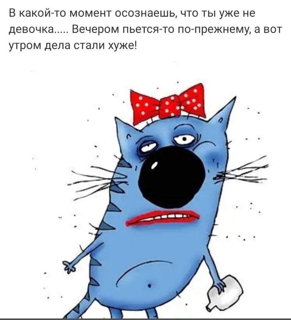 В какойгто момент осазнаешь что ты уже не девочка Вечером пьетсжто попрежнему а вот утром дела стали хуже
