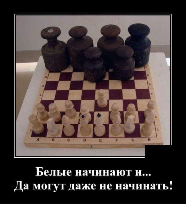 Белые начинают и Да могут даже не начинать