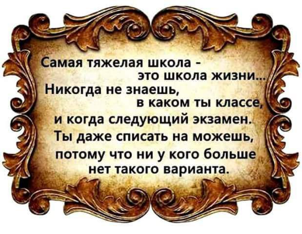 амая тяжелая школа это школа жизни Никогда НЕ знаешь _ в каком ты клас и когда следующий экзамен Ты даже списать на можешь