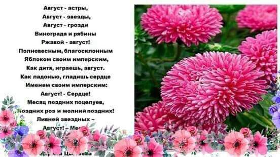 п _ ми ш н ц и ш д м м цы