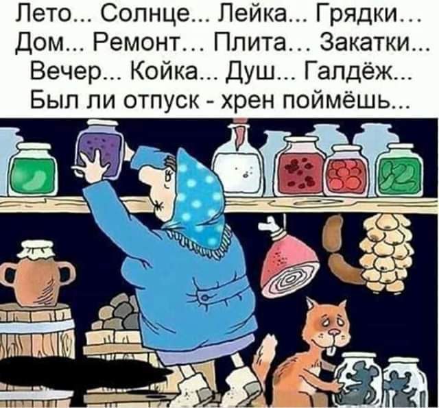 Пето Солнце Лейка Грядки Дом Ремонт Плита Закатки Вечер Койка Душ Гапдёж Был ли отпуск хрен поймёшь