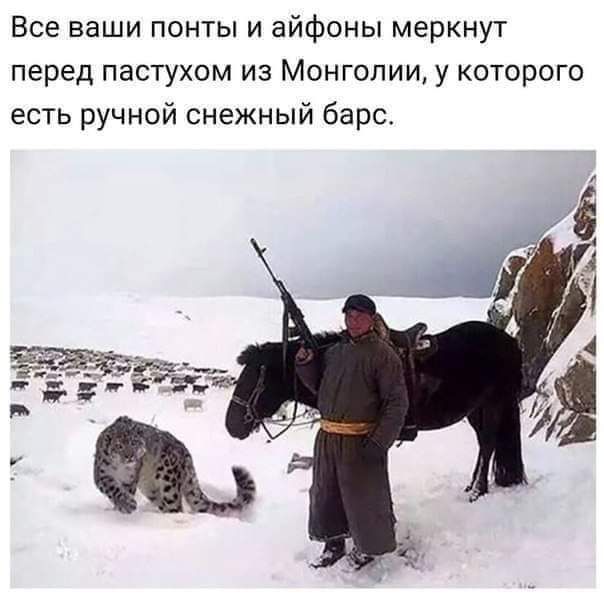 Все ваши понты и айфоны меркнут перед пастухом из Монголии у которого есть ручной снежный барс 4