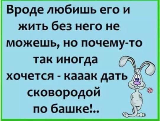 Вроде любишь его и жить без него не можешь но почему то так иногда хочется кааак дать сковородой по башке