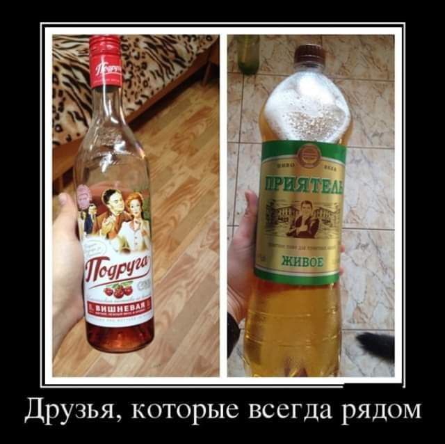 Друзья которые всегда рядом