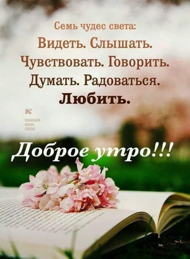 г нидь цы СЦ Чувствовать Говорить Думать Радоваться Любить