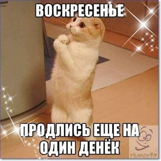 вопнЁсЕъЁ 13 _ Щщдписчщщвнда іі дшндінш