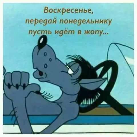 Воскресенье пеРеуай понеуельнику пус ь идёт в жопу
