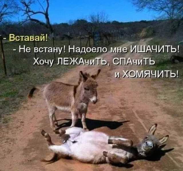 ию Бстапті Не встану Надоело мне ИШАЧИТЬ Хочу ПЕЖАчиТЬ СПАчиТЬ и ХОМЯЧИТЫ