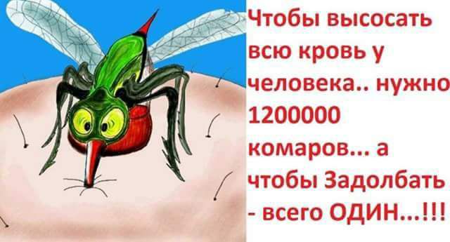 Чтобы высосать всю кровь у человека нужно 1200000 комаров а чтобы Задолбать всего один