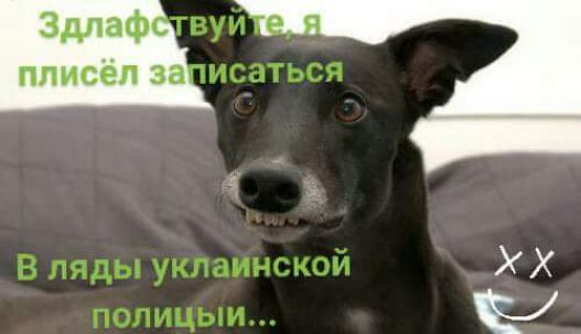 ЗдлаФ ППИСЕП 33