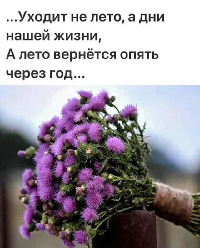 Уходит не лето а дни нашей жизни А лето вернётся опять через год