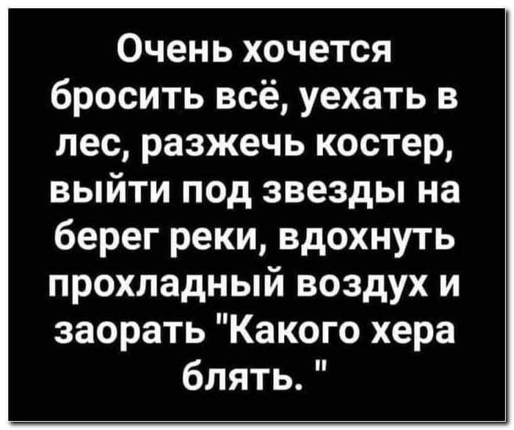 Очень хочется бросить всё уехать в лес разжечь костер выйти под звезды на берег реки вдохнуть прохладный воздух и заорать Какого хера блять