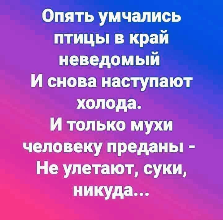 Опять умчались птицы в край неведомый И снова наступают холода И только мухи человеку преданы Не улетают суки никуда