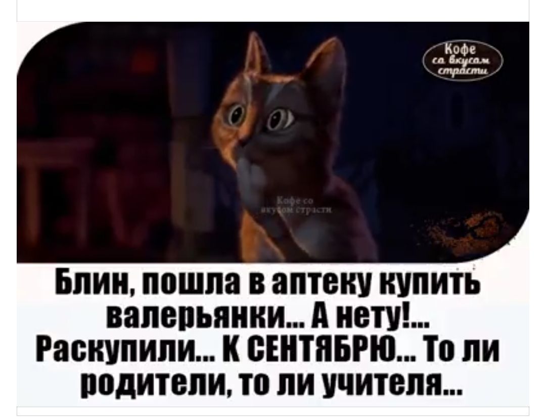 БПИ ППШПЕ В аптеку КУПИТЬ напепьяиии НЕТ Рапиупипи СЕНТЯБРШ ТП ВОДИТЕЛИ ТО ПИ УЧИТЕЛЯ