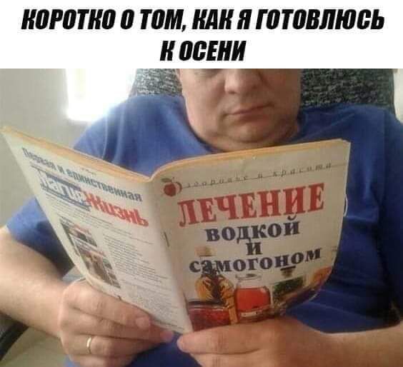 коротко и там шилттвлюаь плащи