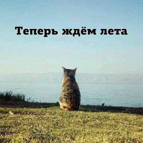 Теперь ждём пета