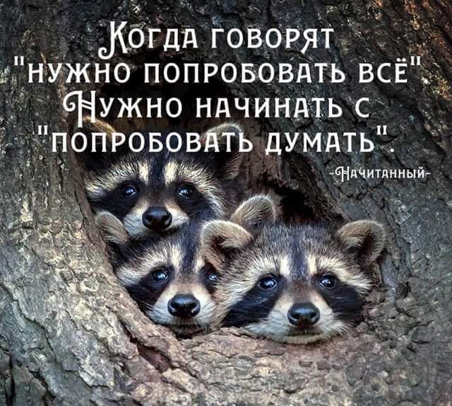 сбгдд говорят нмжно попрововдть всЁ УЖНО ндчиннть с о ововдгъ думдть