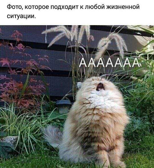 Фото которое подходит к любой жизненной ситуации