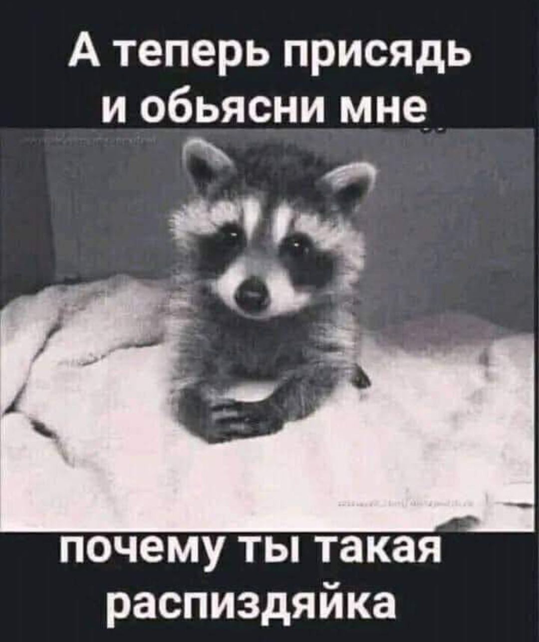 А теперь присядь и обьясни мне я И почему ты такая распиздяйка