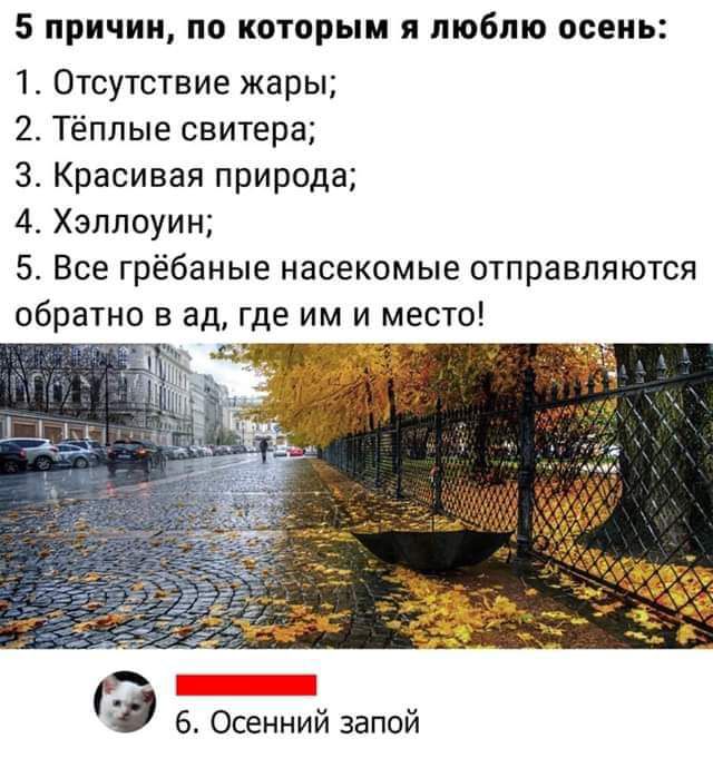 5 ПРИЧИН ПО КОТОРЫМ Я люблю ОСЕНЬ 1 Отсутствие жары 2 Тёплые свитера 3 Красивая природа 4 Хэллоуин 5 Все грёбаные насекомые отправляются обратно в ад где им и место Осенний запой