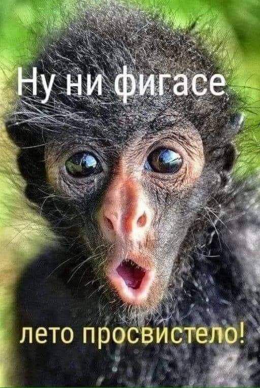 Ё