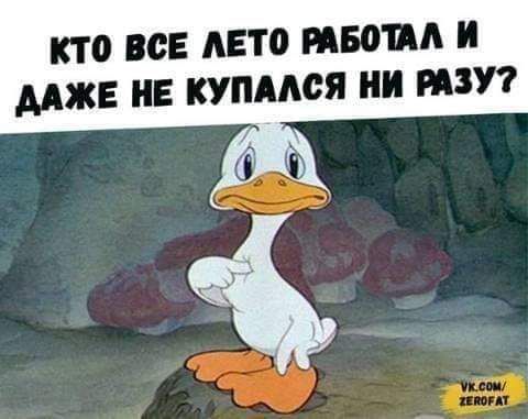КТО ВСЕ ЛЕТО ПБОПА И МЖЕ ИЕ КУПААСЯ ПЗУ