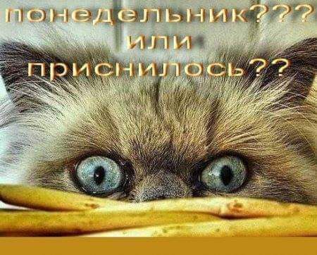 7 дати ийді пм
