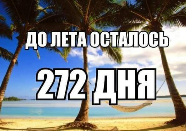 дотпш ойшпЁёь 24141