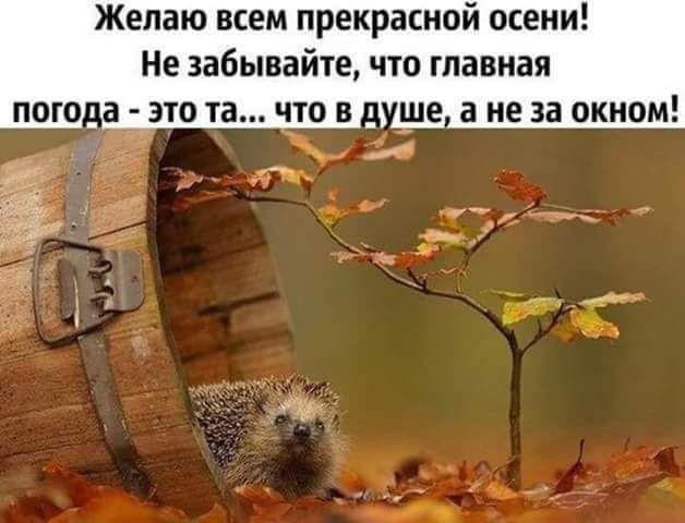 Желаю всем прекрасной осени Не забывайте что главная пого_а это та что в ше а не за окном