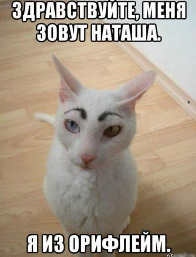 шшш _ изёогифпійм