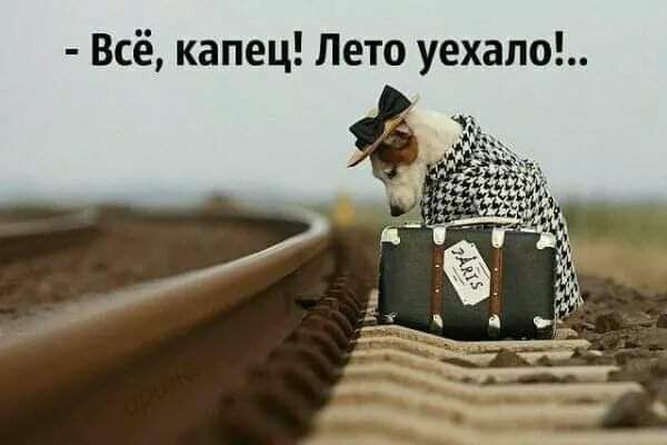 Всё капец Лето уехало