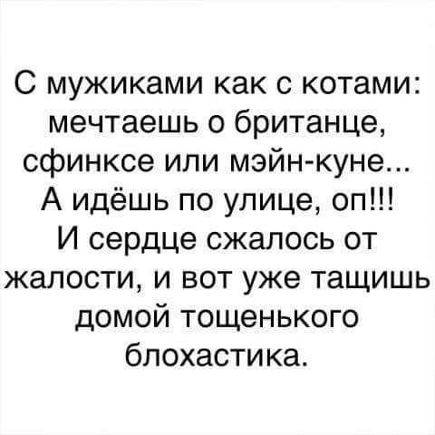 С мужиками как с котами мечтаешь о британце сфинксе или мэйн куне А идёшь по улице оп И сердце сжалось от жалости и вот уже тащишь домой тощенького блохастика